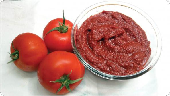 تولید کنندگان رب گوجه فرنگی تسلط