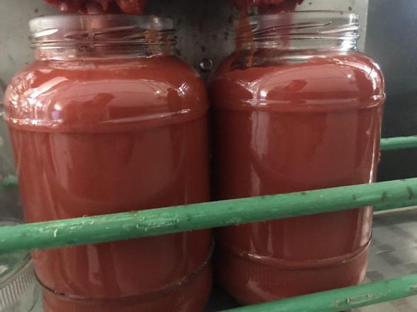 بازار فروش رب گوجه فرنگی شیشه ای گلدیس