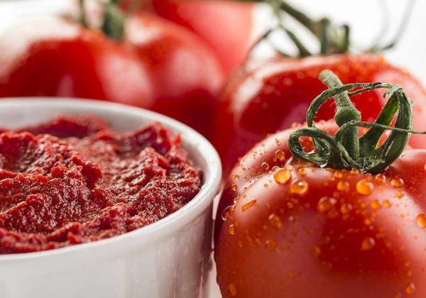 اطلاعاتی مختصر در مورد رب گوجه فرنگی تازه
