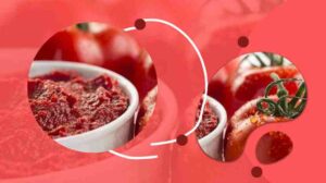 خرید رب گوجه فرنگی عمده